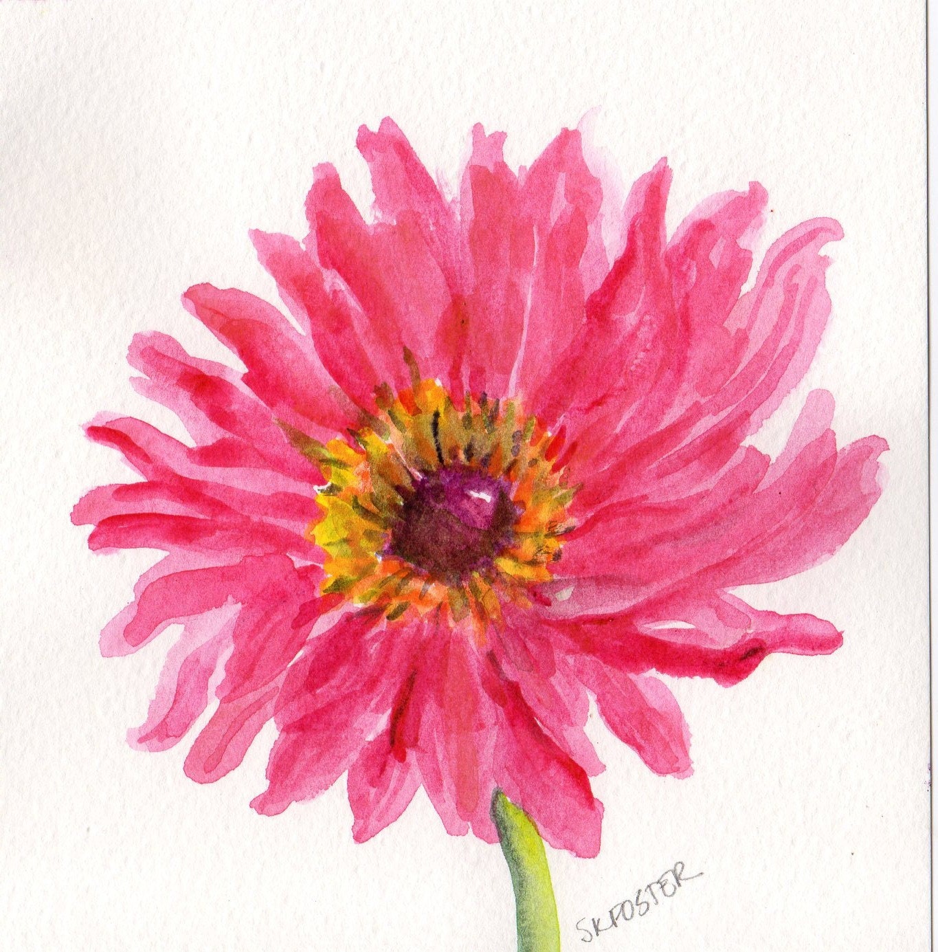 Original watercolor Pink Painting Gerbera Daisy 6 x 6