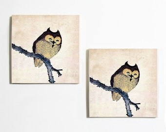 Popular items for Owl crafts on Etsy