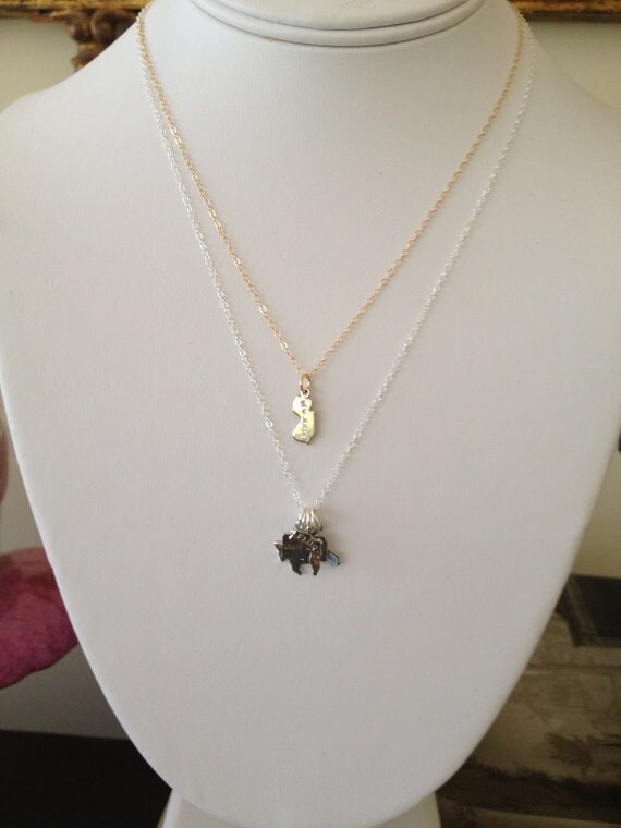 Gold State Charm Necklace Silver State Necklace ALL STATES New