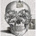 Skull,Flowers,Christmas, Gift , French,Paris, Vintage. Altered, Repurposed, Antique Book Page, buy 3 get 1 free,retro.steam punk,.goth