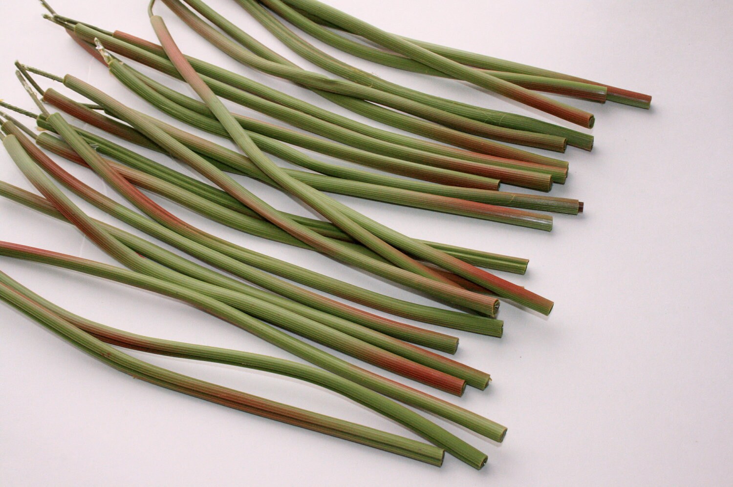 6 Artificial Flower Stem Covers WITH Stems startup DIY