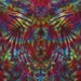 Tie Dye T Shirt Psychedelic Grateful Dead Rorschach Stained Glass short sleeved by Big Blue Dyes large