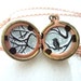 Snow Bird Locket, Unique Pendant Necklace - Hand-Painted Silhouette, Bird Lover Gift