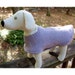 Dog Coat in Felted Wool Size Small