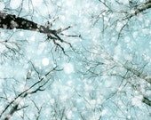 Winter snow photography, nature photo, falling snow, forest photography, abstract, light blue, bokeh snow, snowflake, cottage Winter snow photography, nature photo, falling snow, forest photography, abstract, light blue, bokeh snow, snowflake, cottage
