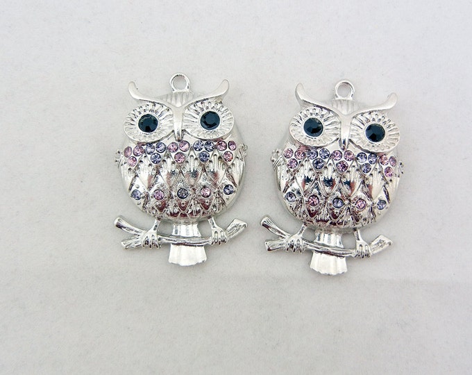 Pair of Silver-tone Purple Rhinestone Owl on a Branch Charms