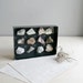 curiosity cabinet / rock & mineral collection