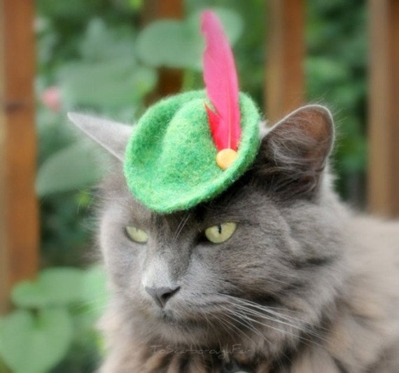 Items similar to Cat (Dog) Robin Hood Hat - Peter Pan Hat - Hand Felted ...