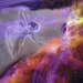 Taming the Universe Digital Collage Print, Fantasy Fairy, Cosmos Image