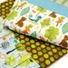 baby quilt- woodland animals- raccoons, bears, owls, birds, snails, ladybugs, butterflies and dragonflies "Forest Friends"