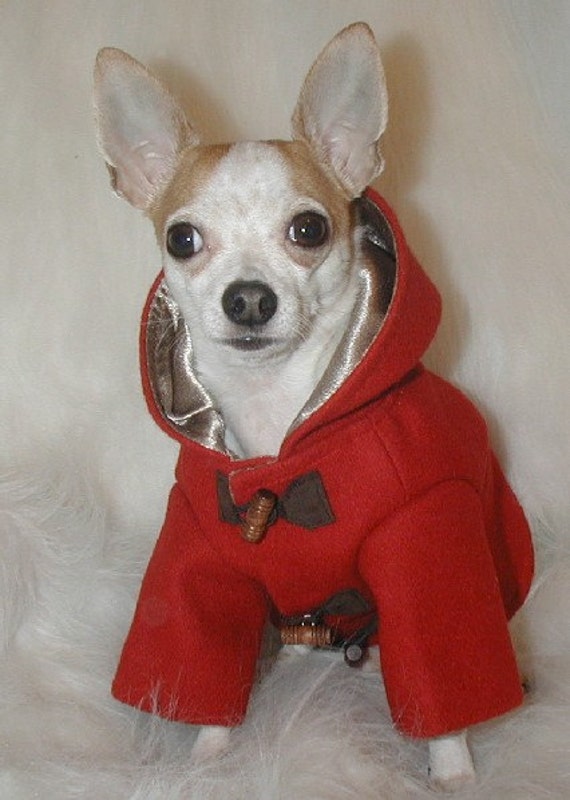 Paddington Dog Coat