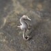 Seahorse Helix Hoop Cartilage earring, Beach jewelry, Seahorse Earring, Ocean Jewelry, gifts for her