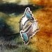 Ring - Size 7 1/2 - Sterling Silver - Adjustable Ring - Flux - Turquoise - Blue Stone Jewelry - Southwest Style - Stamped