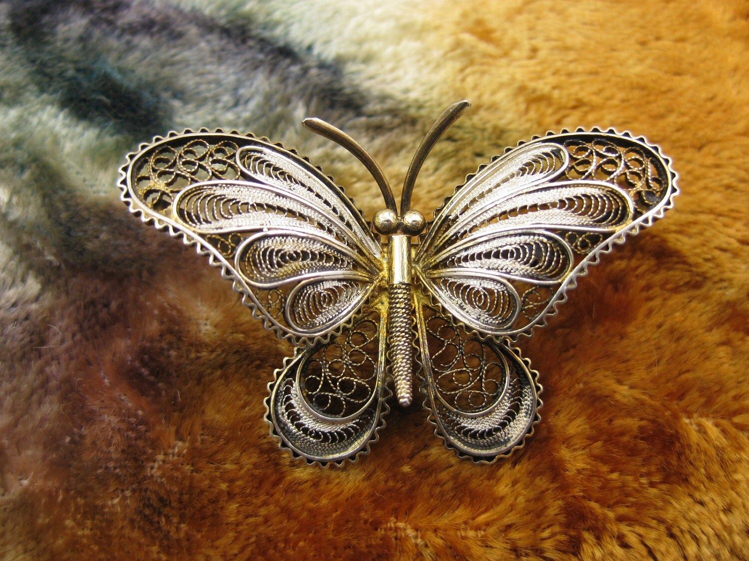 filigree butterfly brooch