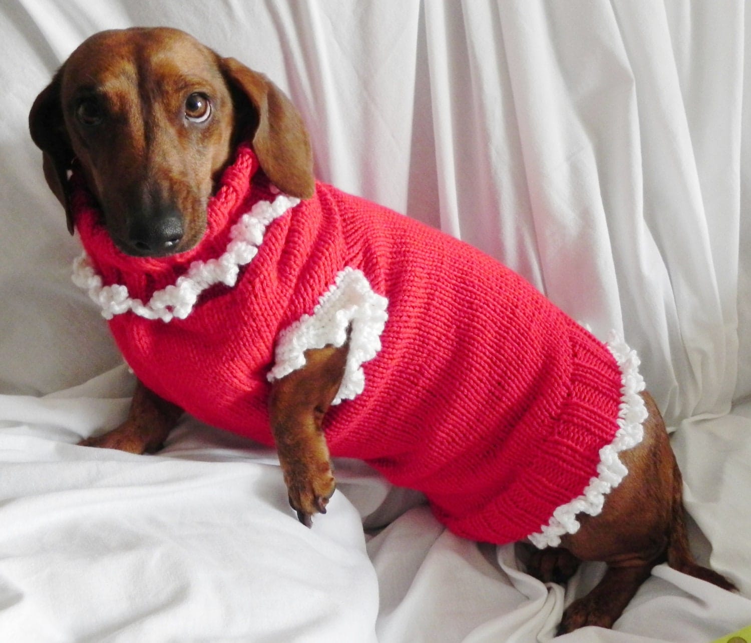 Miniature DACHSHUND CHRISTMAS Sweater Red w/White Ruffles