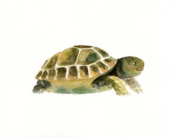 TORTOISE Original watercolor painting 10X8inch by dimdi on Etsy