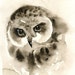OWL Original watercolor painting 8x10inch (vertical orientation)
