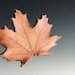 Maple Leaf / Handmade with Real Leaves in Stoneware Clay / Fall Weddings Table Decor / Autumn Holiday Decor