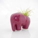 Elephant planter, elephant air plant holder, ceramic unique air plant pod in purple