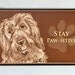 Labradoodle Dog Art Fridge Magnet- Stay Paw-sitive
