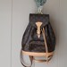 Leather and Canvas Louis Vuitton Paris Backpack Purse