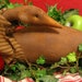 Primitive Canadian Goose