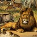 1900s Gorgeous antique ETHIOPIAN FAUNA chromolithograph, Gorilla, chimpanzee, baboon, giraffe, lion, hippopotamus, elephant