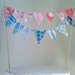 Cake Bunting Topper Pink and Blue Baby Shower, Gender Reveal party
