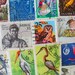 Where Eagles Dare 50 Vintage US Worldwide Bird Postage Stamps Philately Ornithology Birds Water Fowl Stork Toucan Duck Owl Swallow