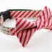 LAST ONE - Red Peppermint Stripes Holiday Dog Bowtie Collar