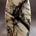 RESERVED - Willow Creek Jasper Cabochon Rare Dendritc Willow