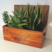 Vintage wood box.......lidded............pine.......display.....planter....storage