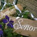 Wooden Wedding Hand Painted Senor and Senora signs