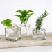 Trio of Small Glass Ink Bottles