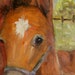 Oil Painting Horse - Foal Painting - Painting Animals - Baby Animals