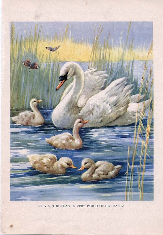 Vintage CHILDREN'S BOOK PAGE The Swan from