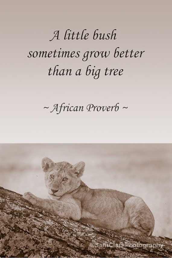 Items similar to PHOTOS WITH WORDS , Wildlife Photography 