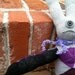 sock critter
