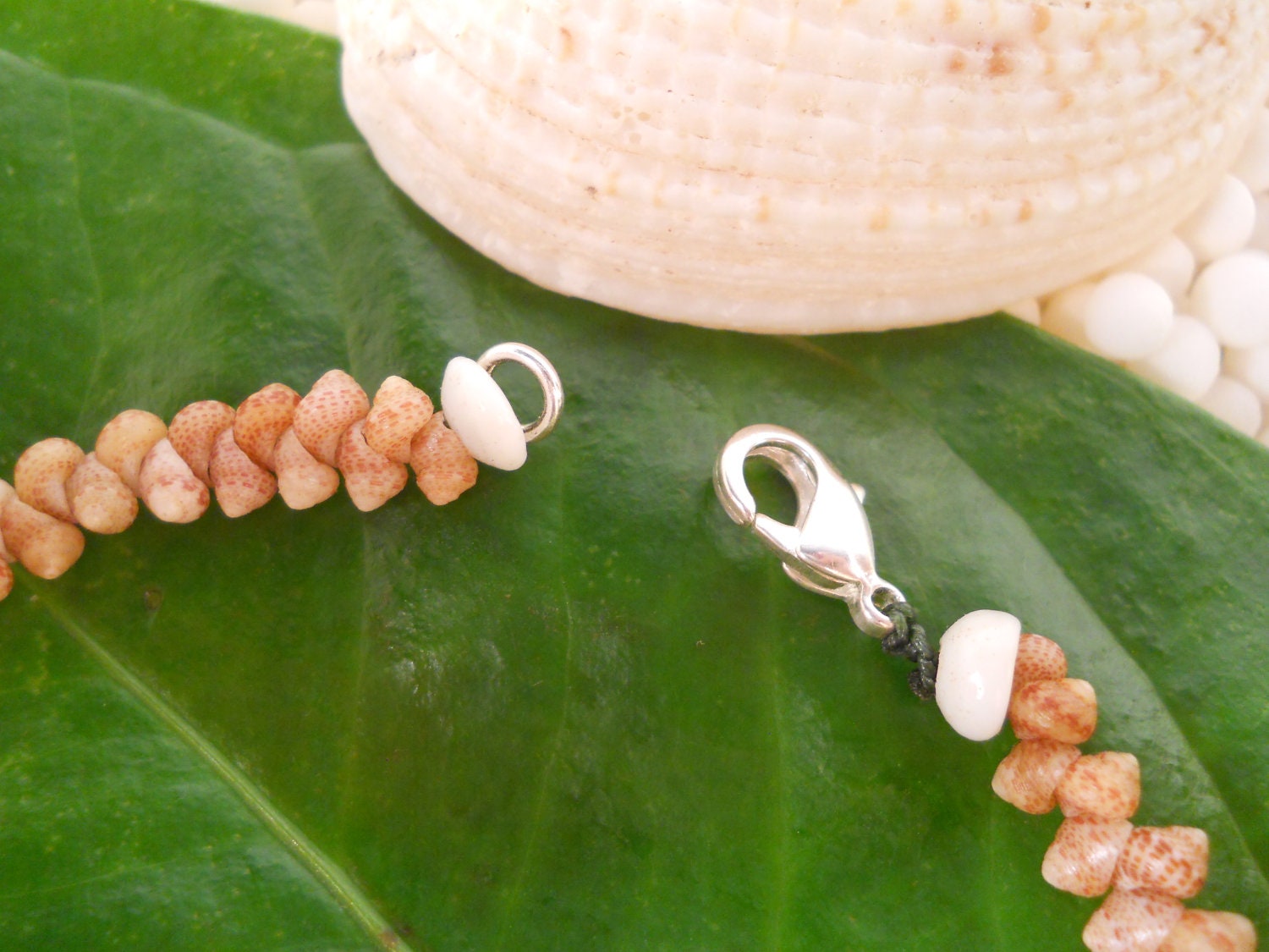 Hawaiian Kahelelani Shell Bracelet Sterling Silver Clasp Kauai