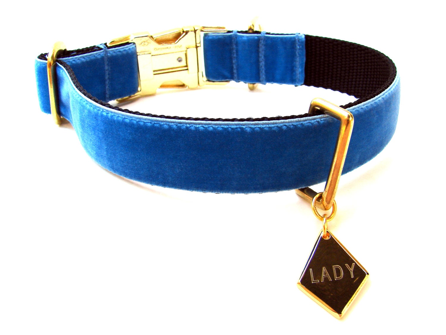 Custom Blue Velvet Dog Collar 1
