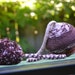 Knit brown newborn hat - READY TO SHIP