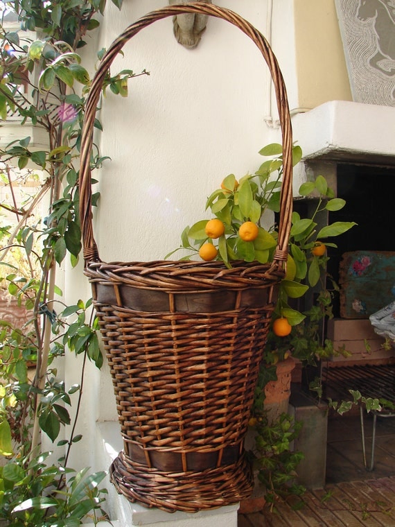 SALE ITEM..Antique Frenchtall wicker flower basket with