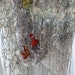 Hand Knit Fair Like Scarf in Handspun Hand dyed yarns, named Galadriel, in shades of ivory, blue and more spun through