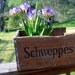 Vintage Wood Crate, Wood Soda Crate, Industrial Storage, Schweppes