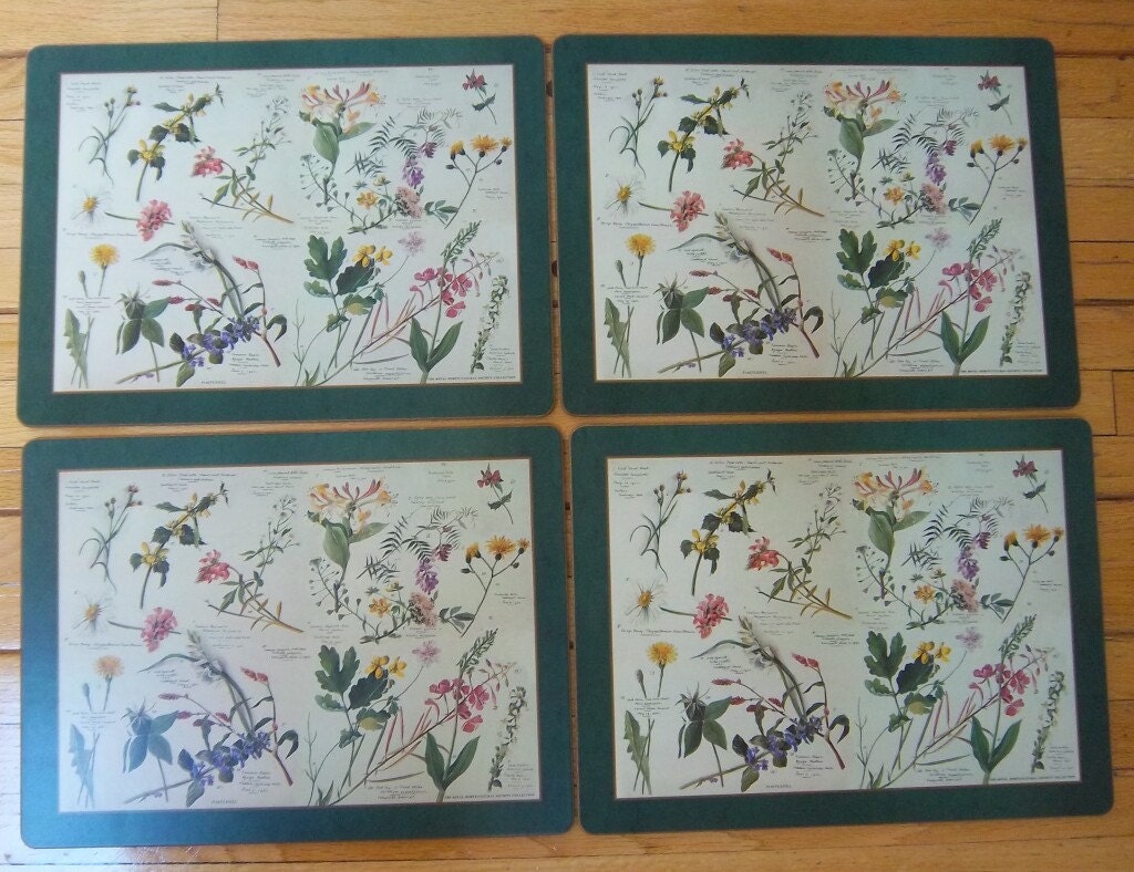 4 PIMPERNEL England Placemats Wild Flowers British