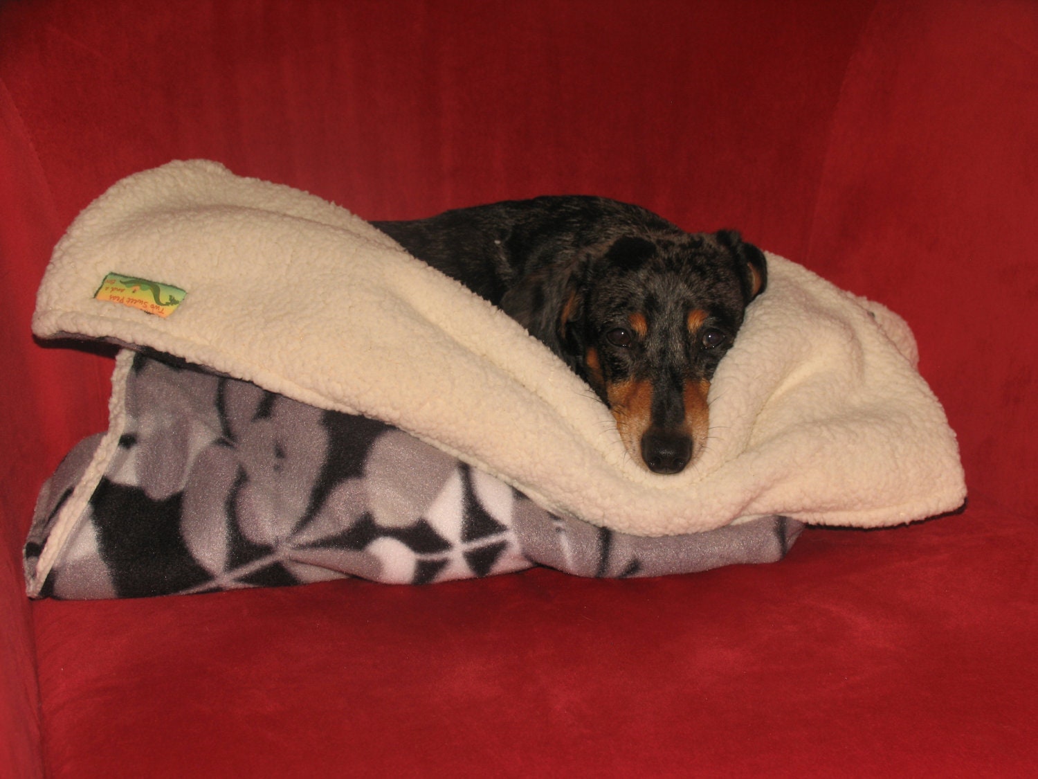 sad sack stuffed dog