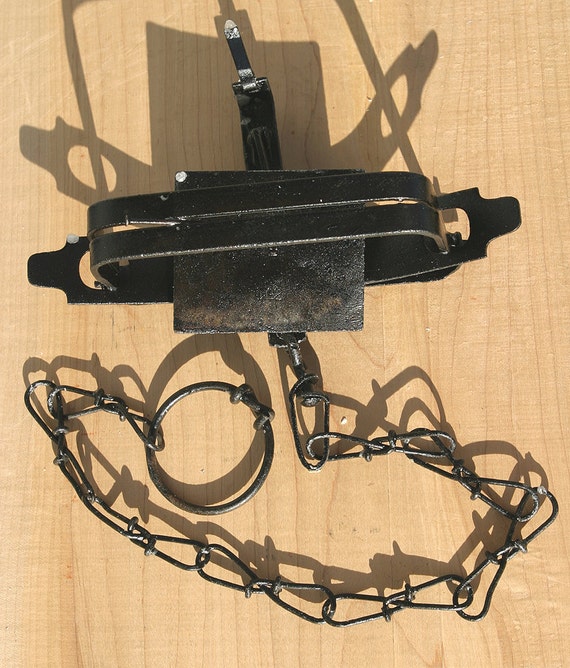 padded leghold trap