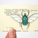 Beetle painted on Library Card Catalog Card hand-painted original insect art Dewey Decimal