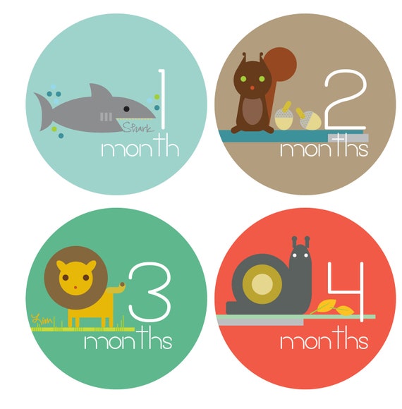 Monthly Baby Stickers Baby Boy Month Sticker by LucyDarlingShop