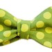 Lime Green and Yellow Polka Dots Cotton Self Tie Bow Tie